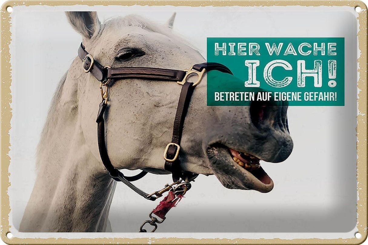 Targa in latta con scritto stampo 30x20cm eccomi sveglio