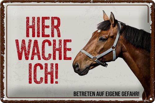 Blechschild Spruch 30x20cm Pferd hier wache ich eigene Gefahr