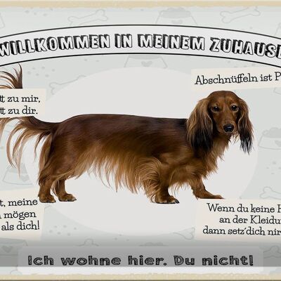 Blechschild Spruch 30x20cm Tiere Hund ich wohne hier du nicht