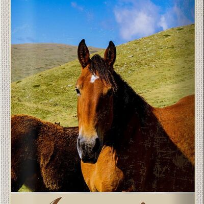 Cartel de chapa de viaje, 20x30cm, Argentina, pradera, caballos, vacaciones