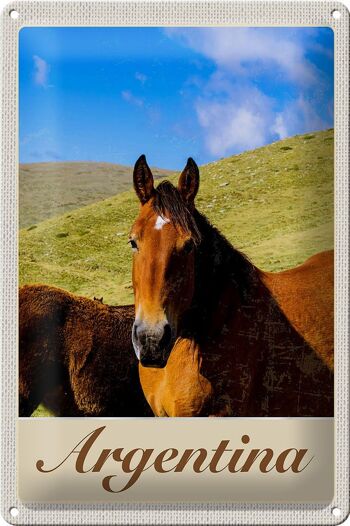 Signe en étain voyage 20x30cm, argentine, chevaux de prairie, vacances 1