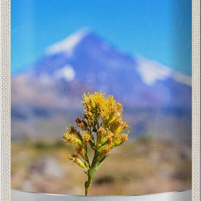 Targa in metallo da viaggio 20x30 cm Cile Fiore Montagne Vacanza