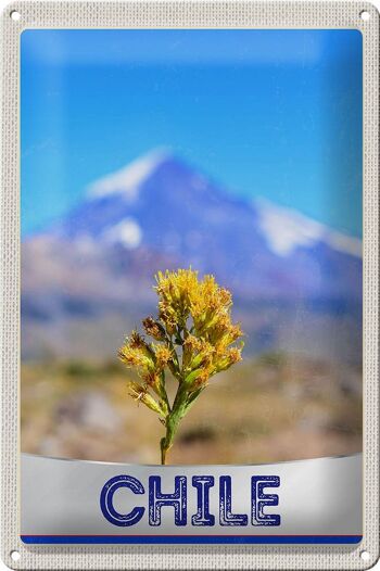 Signe en étain voyage 20x30cm, chili fleurs montagnes vacances 1