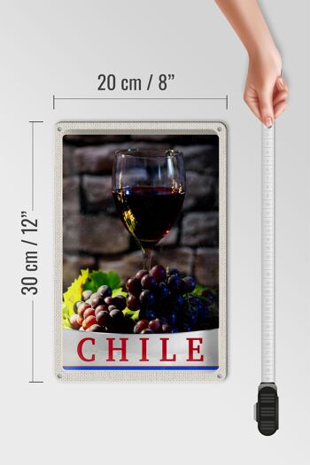 Signe en étain de voyage, 20x30cm, chili, raisins de vin, Tradition, vacances 4