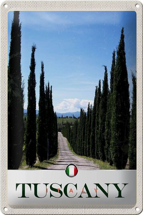 Blechschild Reise 20x30cm Toskana Italien Allee Weg Schild