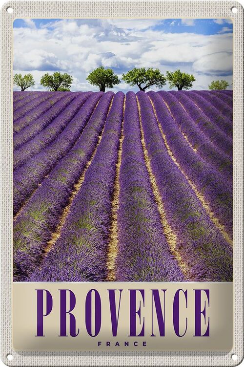 Blechschild Reise 20x30cm Provence Frankreich Lila Natur