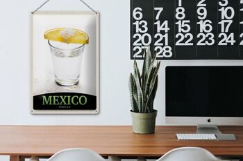 Panneau de voyage en étain, 20x30cm, mexique, états-unis, amérique, Tequila, citron 3