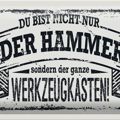 Blechschild Spruch 30x20cm Du bist nicht nur