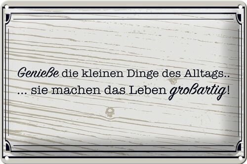 Blechschild Spruch 30x20cm Genieße die kleinen Dinge Alltags