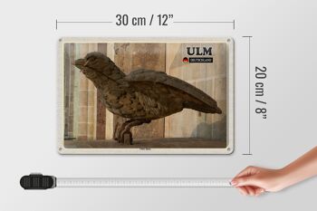 Plaque en tôle villes Ulm Ulmer Sparrow sculpture 30x20cm 4
