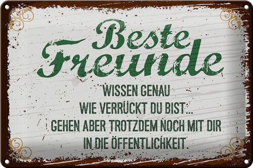 Blechschild Spruch Beste Freunde verrückt wissen genau 30x20cm