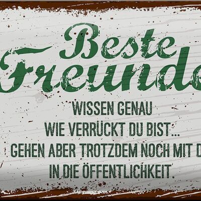 Blechschild Spruch Beste Freunde verrückt wissen genau 30x20cm