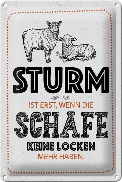 Blechschild Spruch lustig Sturm wenn Schafe Locken 20x30cm