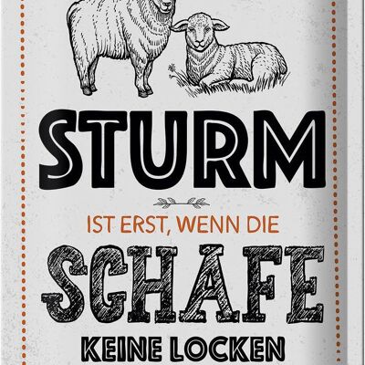 Blechschild Spruch lustig Sturm wenn Schafe Locken 20x30cm