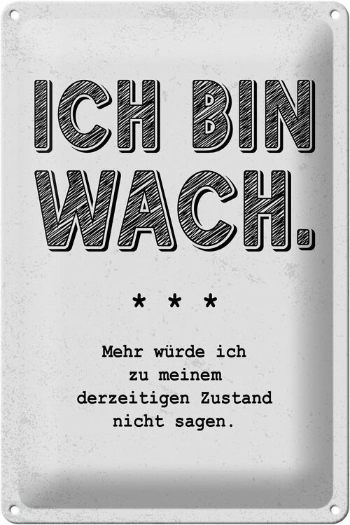 Blechschild Spruch lustig Zustand Ich bin wach 20x30cm