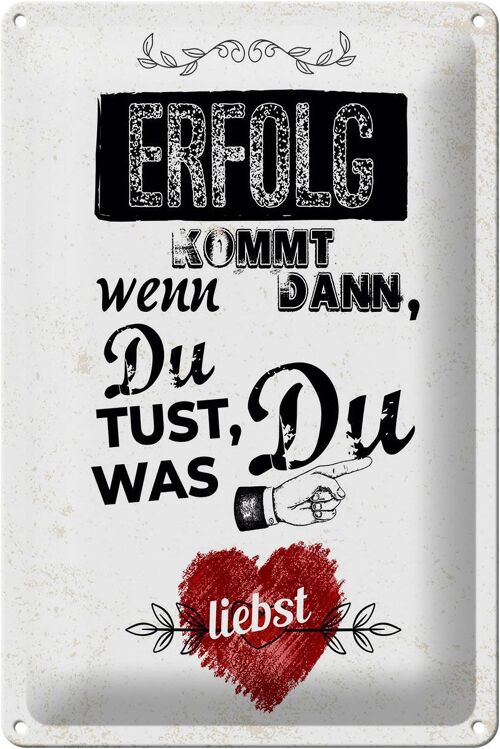 Blechschild Spruch Erfolg dann du tust was du liebst 20x30cm