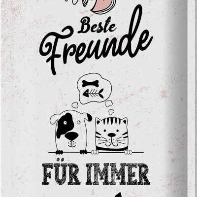 Blechschild Spruch Beste Freunde für immer 20x30cm