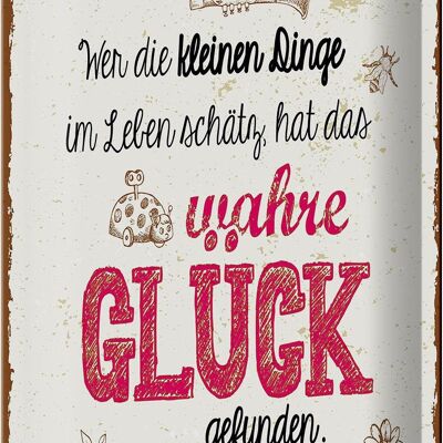 Blechschild Spruch Wer kleine Dinge schätzt hat Glück 20x30cm