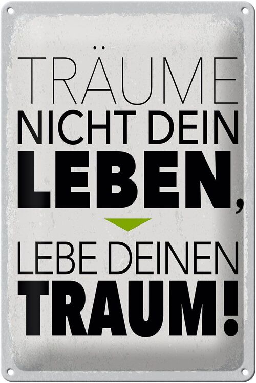 Blechschild Spruch Leben lebe deinen Traum 20x30cm