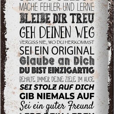 Blechschild Spruch Sei du selbst mache Fehler lerne 20x30cm