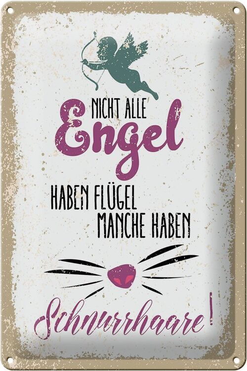 Blechschild Spruch Nicht alles Engel haben Flügel 20x30cm