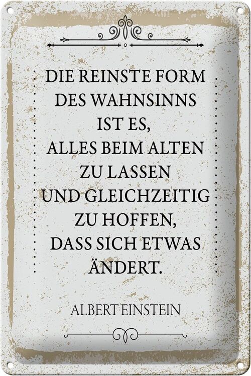 Blechschild Spruch Einstein reinste Form Wahnsinns 20x30cm