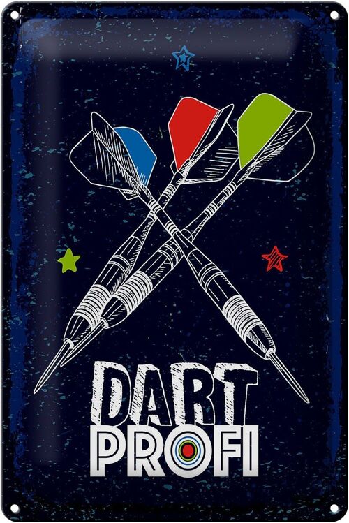 Blechschild Sportart Dart Profi Dartpfeile 20x30cm