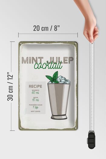 Plaque en tôle Recette Mint Julep Cocktail Recipe 20x30cm 4