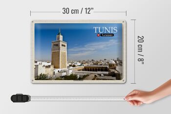 Panneau en étain voyage Tunisie mosquée Ez Zitouna 30x20cm 4