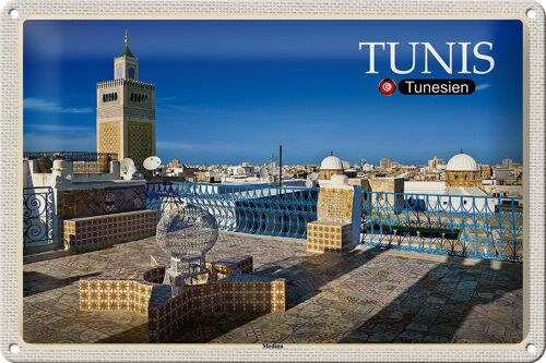 Blechschild Reise Tunis Tunesien Medina Moschee 30x20cm