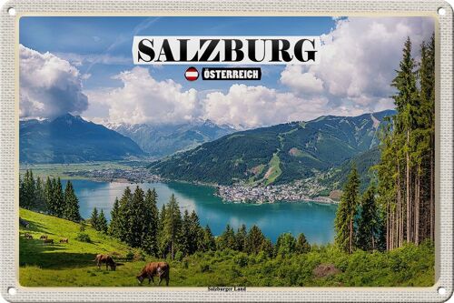 Blechschild Reise Österreich Salzburger Land Natur 30x20cm