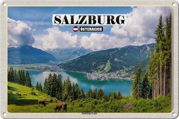 Signe en étain voyage autriche Salzbourg Land Nature 30x20cm 1