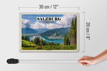 Signe en étain voyage autriche Salzbourg Land Nature 30x20cm 4