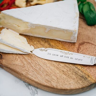 To brie or not to brie?' Cheese Knife
