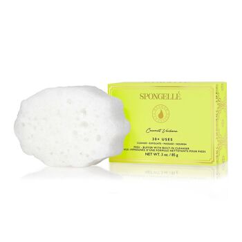 TAMPON PEDI DAISY COLLECTION - COCO VERVEINE - SPONGELLE 2