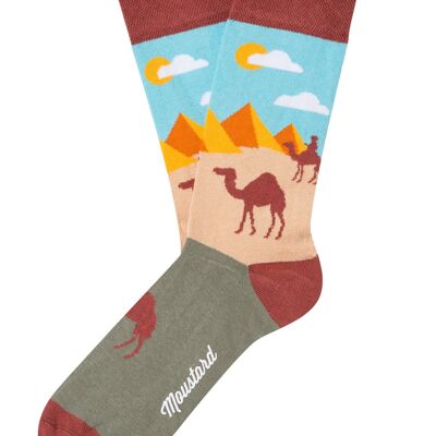 Pyramids and Camels Socks