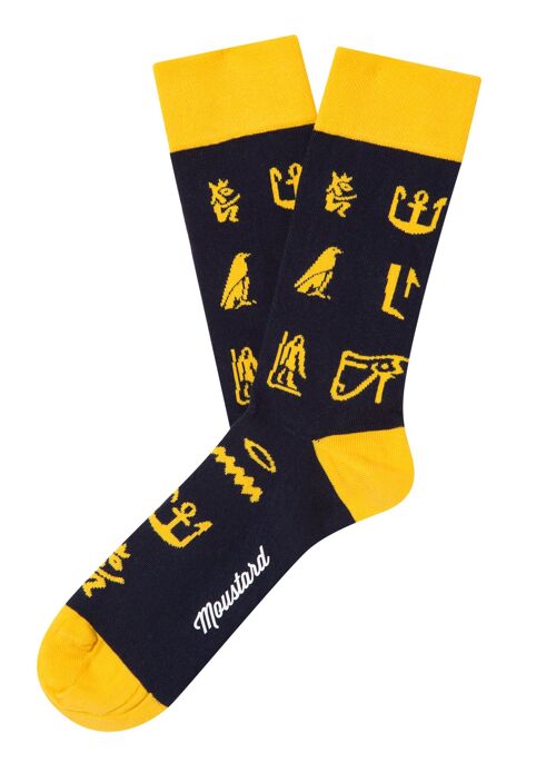 Hieroglyphs Socks