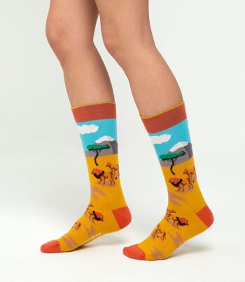 Chaussettes Lions 2