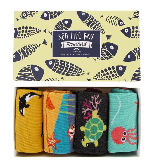 Sea Life Socks Box