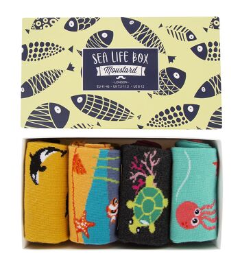 Boîte à chaussettes Sea Life 1