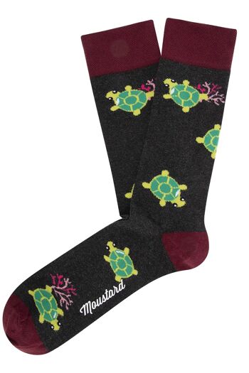 Chaussettes tortues 1