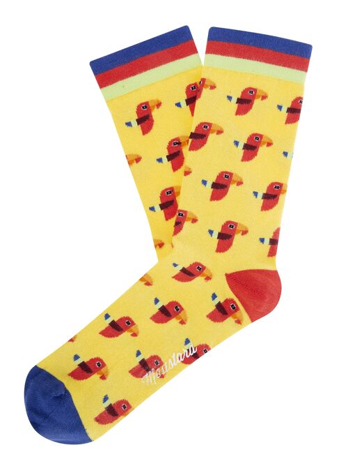 Parrot Socks