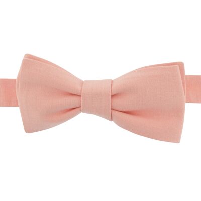 Apricot bow tie