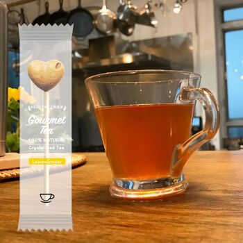 Stick Tea-Pop Citron Gingembre, Pour Services de Restauration, Carton de 30 Sticks 2