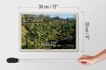 Signe en étain voyage 30x20cm, terrasses de riz Ubud Bali Tegalalang 4