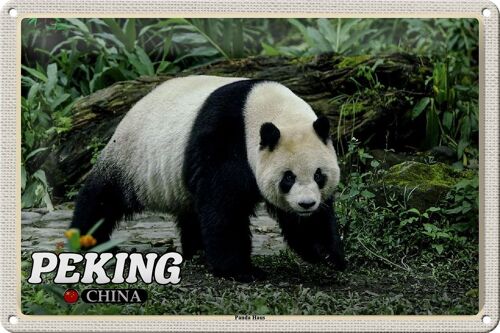 Blechschild Reise 30x20cm Peking China Panda Haus