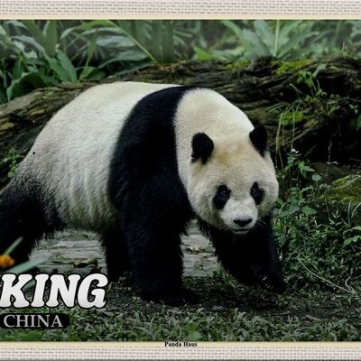 Blechschild Reise 30x20cm Peking China Panda Haus