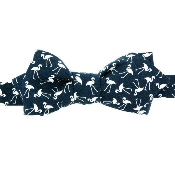 Mini papillon blu Flamingo