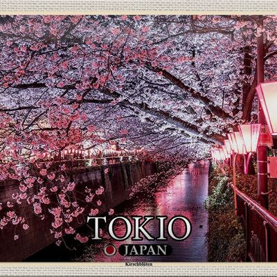 Targa in metallo da viaggio 30x20 cm Tokyo Giappone Fiori di ciliegio Alberi Fiume