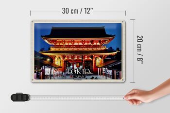 Panneau en étain voyage 30x20cm, Tokyo, Japon, Temple Sensoji 4